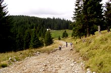 Custuras tour hiking trail, Bihor-Vladeasa, Apuseni mountains, Photo: Hám Péter