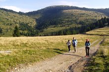 Custuras tour hiking trail, Bihor-Vladeasa, Apuseni mountains, Photo: Hám Péter