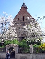 Evangelical fortified church, Darlos , Photo: Andreea Grosoșiu