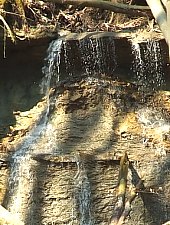Waterfalls in the Treznea valley, Treznea , Photo: Cristian Davidovici