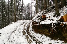 Sebeș - Comisu saddle hiking trail, Făgăraș mountains, Photo: Marius Mihai