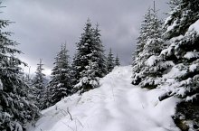 Sebeș - Comisu saddle hiking trail, Făgăraș mountains, Photo: Marius Mihai