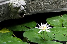 Jibou, Grădina botanică, Foto: Luidort Péter