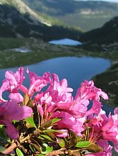 Lia lake, Retezat mountains·, Photo: Mihai Păcuraru