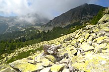 Stâna de Râu - Zárt Kapuk jelzett turistaút, Retyezát hegység, Fotó: Emilia Bota